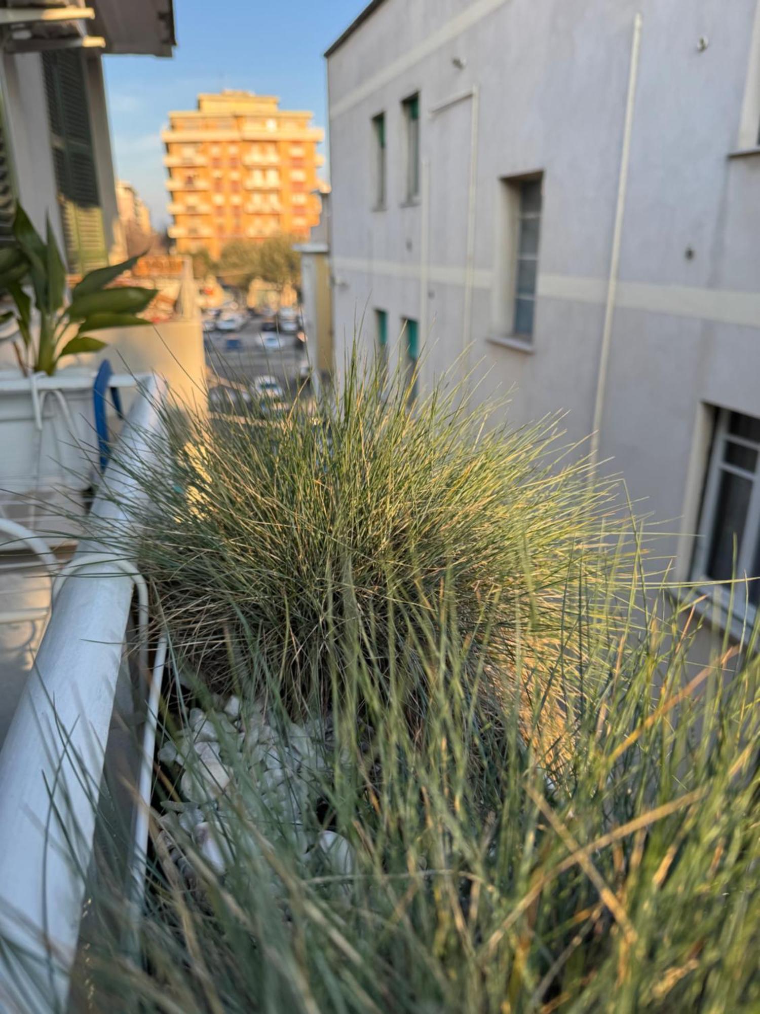 Okra Apartment Pescara Centro Kültér fotó